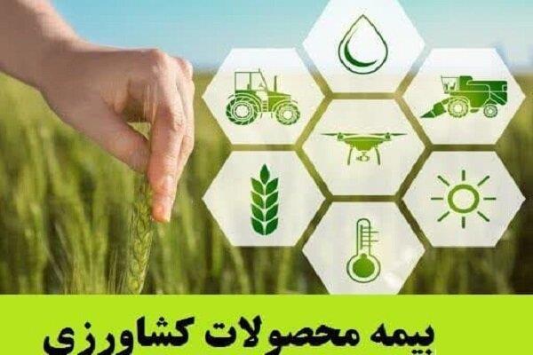 ۱۵بهمن آخرین مهلت بیمه محصولات کشاورزی 