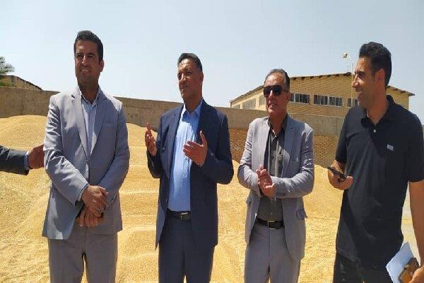 بازدید فرماندار کهگیلویه از مرکز خرید گندم دهدشت