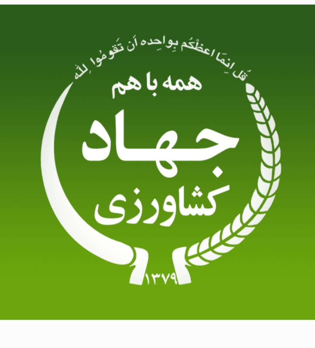 فصل کشت در کهگیلویه؛قطب زراعت استان