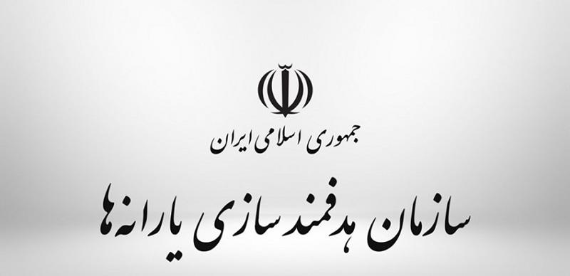 حسن نوروزی رئیس سازمان هدفمندسازی یارانه‌ها شد