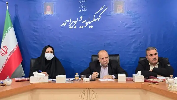 معاون اقتصادی استاندار کهگیلویه و بویراحمد: اجرای طرح نان کامل به صورت فراگیر در دستور کار استان