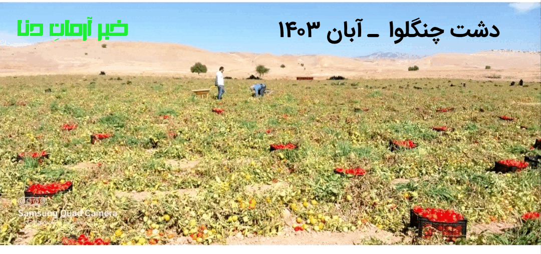 دهدشت غربی