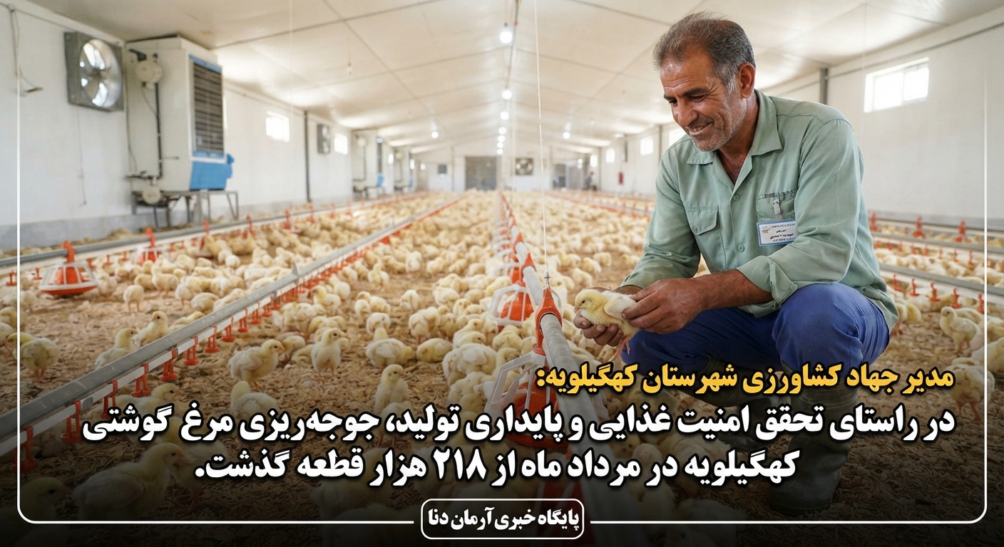 مدیر جهاد کشاورزی شهرستان کهگیلویه: درراستای تحقق امنیت غذایی و پایداری تولید جوجه ریزی مرغ گوشتی کهگیلویه در مرداد ماه از ۲۱۸ هزار قطعه گذشت 