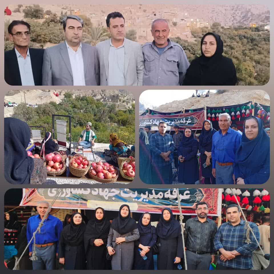 مارین در مسیر جهانی شدن ؛ انار کهگیلویه و بویراحمد از مارین تا جهان
