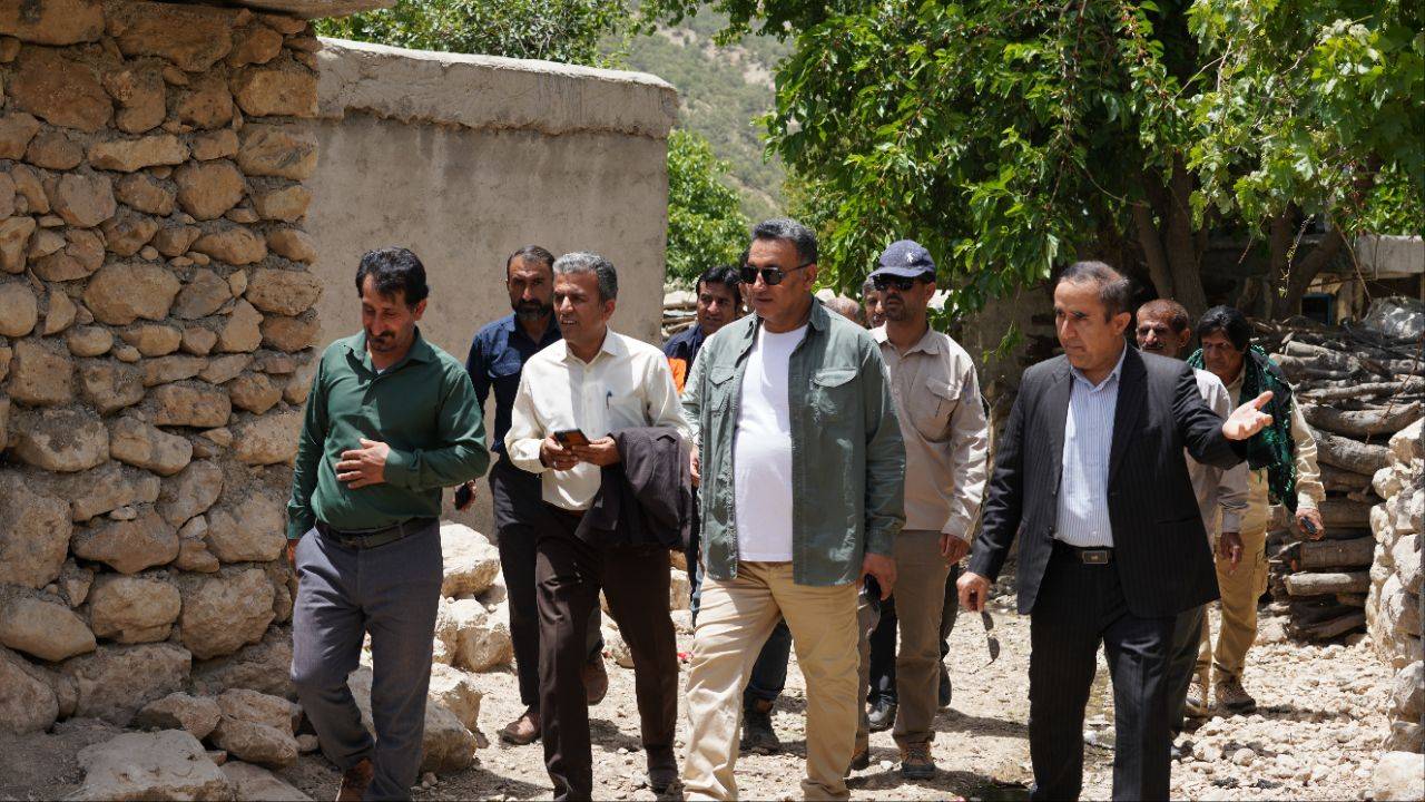 دیشموک