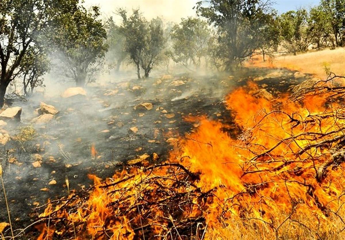 مهار آتش سوزی مزارع و مراتع شهرستان لنده 