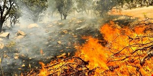 مهار آتش سوزی مزارع و مراتع شهرستان لنده 
