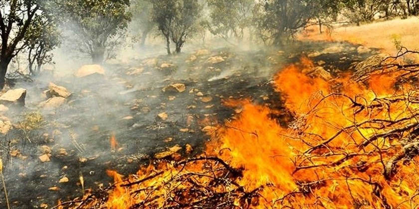 مهار آتش سوزی مزارع و مراتع شهرستان لنده 