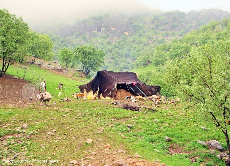 خدمات ارزنده اداره امور عشایر کهگیلویه درراستای رفع نیازهای اساسی عشایر 