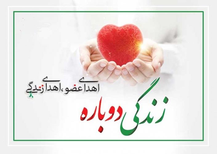 سیزدهمین ایثارماندگاراستان درسال۱۴۰۳