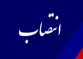 معاون آموزش ابتدائی آموزش و پرورش استان منصوب شد