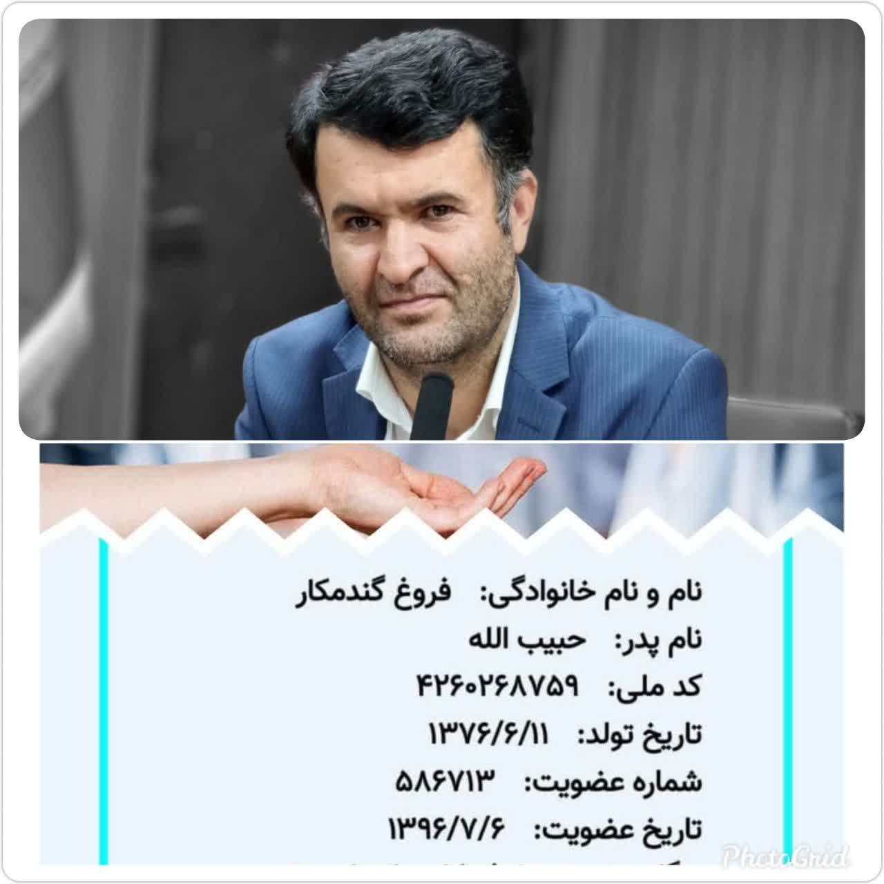 اولین برداشت موفق ریه در استان