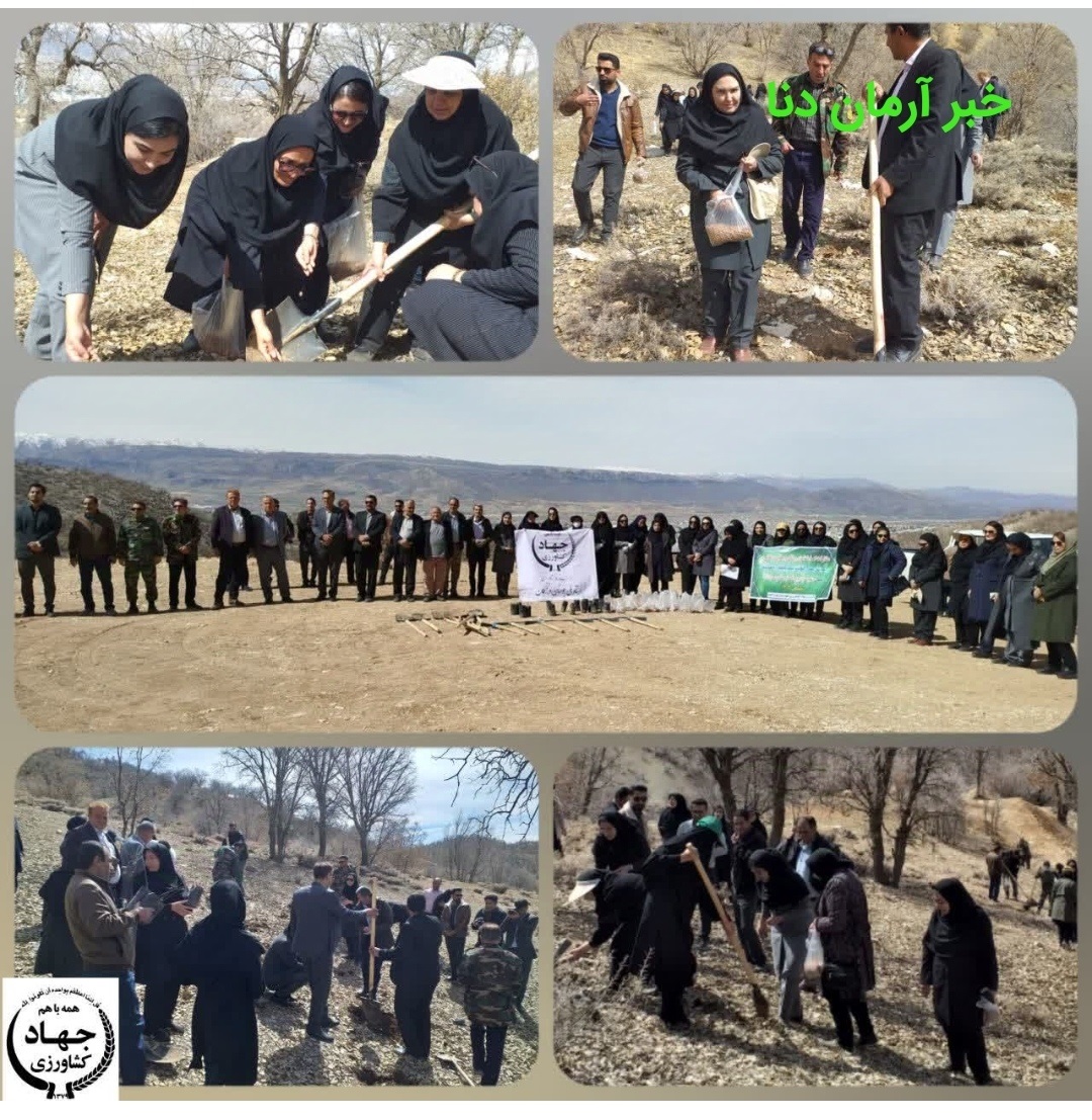 کاشت درخت توسط بانوان شاغل در جهادکشاورزی و منابع طبیعی