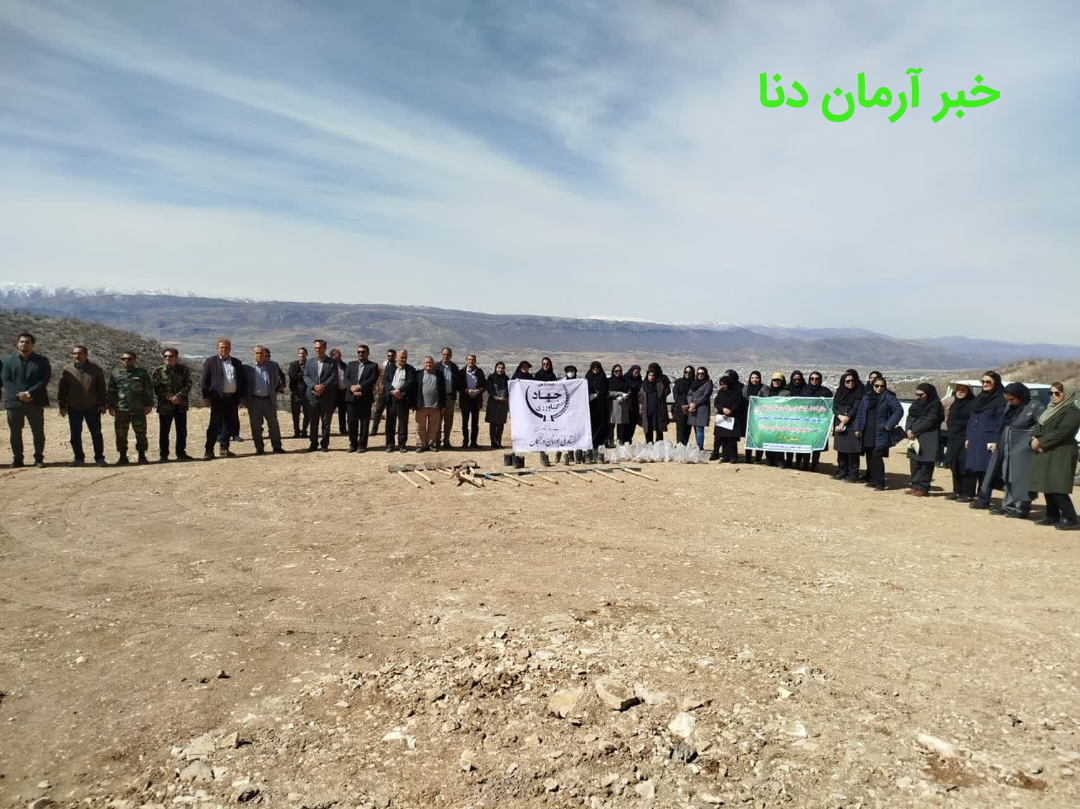 درخت کاری