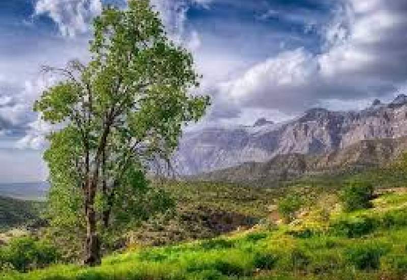 دنا متعلق به دنا نشینان